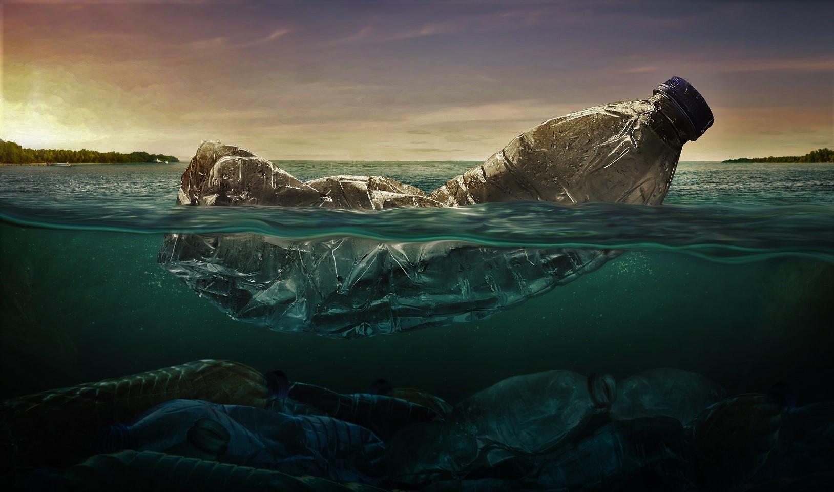 portfolio img